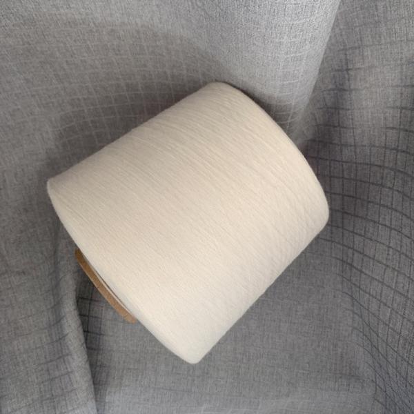 High Vortex Circula Thread 20S White Rayon Viscose Yarn 30S Polyester Viscose Yarn