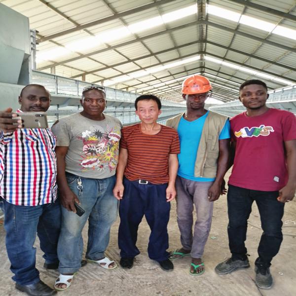 Автоматическое СМ системы 65 x 62,5 клетки цыпленка слоя яйца птицефермы 44 x