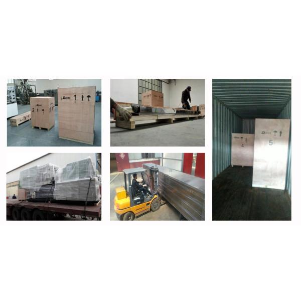 Tipo equipamento do aço 304 de Stanless de fabricação dos alimentos para animais de estimação, linha de processamento da tira da carne