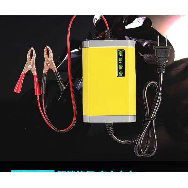 Умные заряжатели свинцовокислотной батареи мотоцикла 6A 12V для корабля