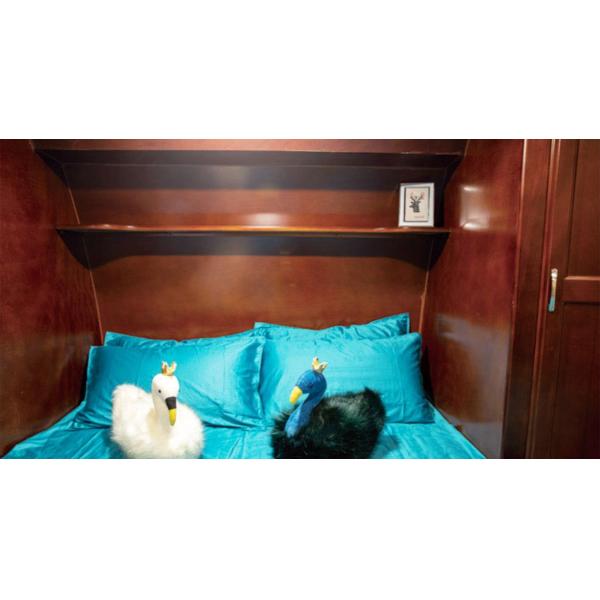 Le campeur à la maison de remorque mobile de Campervans Motorhome de fibre de verre a entièrement fourni