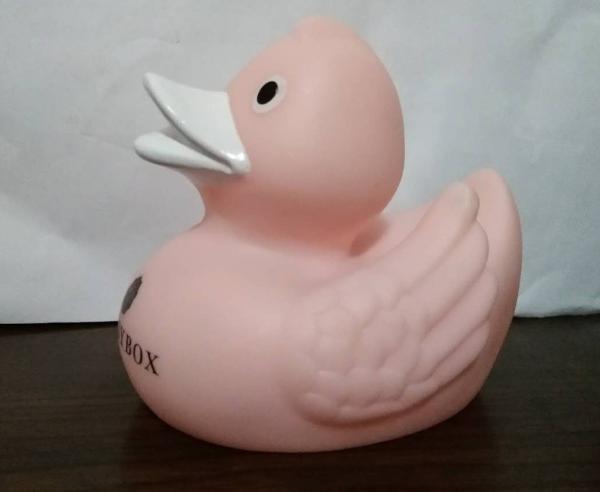 River Racing Pink Personalized Floating Rubber Ducks , Weighted Plastic Ducks PH Free Vinyl