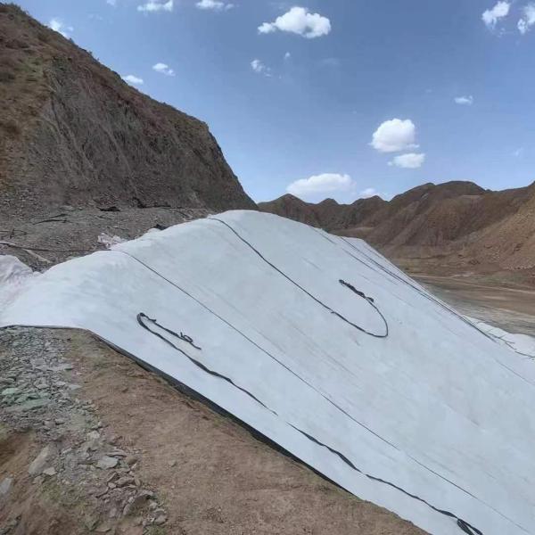 ISO14001 Certified Sodium-Based Bentonite Geosynthetic Clay Liner for Water Conservancy