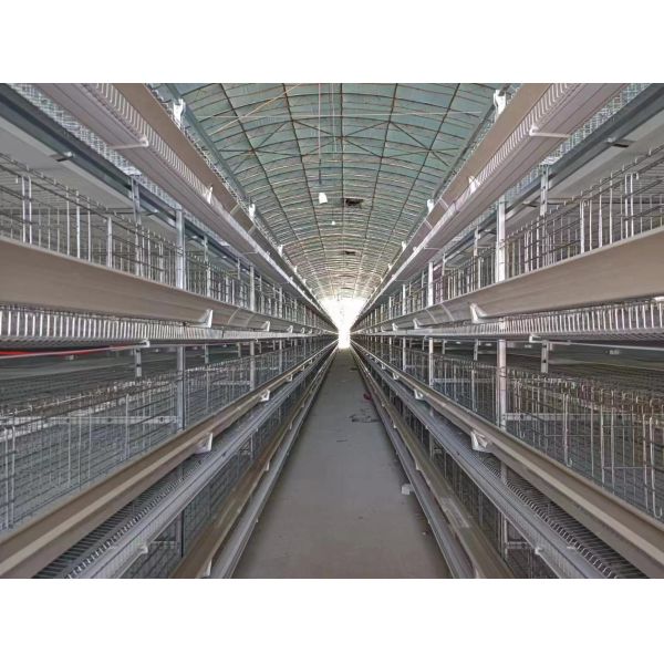 Galvanized Steel H Type Battery Layer Cages with Modular Structure and Automated Feeding for Poultry Farming