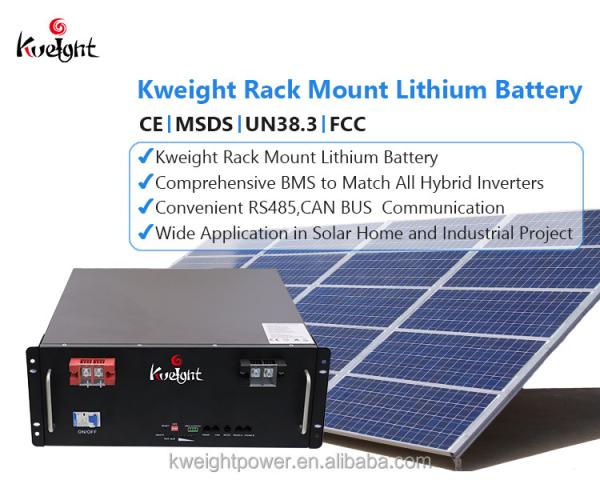 Cabine Lithium Battery Module Paralleled Distributed LiFePO4 Rack Mount Lithium Battery
