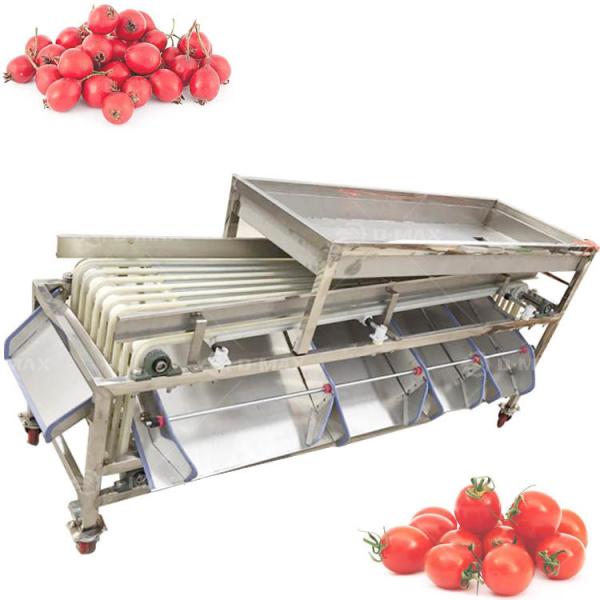 Good Performance Passion Fruit Grading Machine for Fruit Processing Requirements
