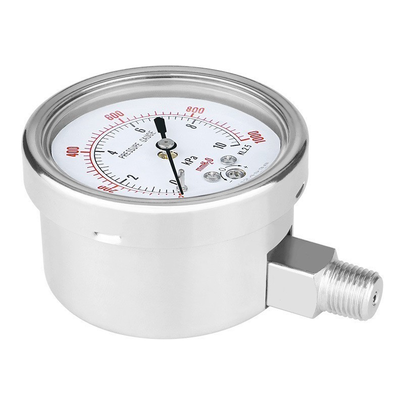 YE60BF 60mm Stainless Steel Diaphragm Seal Pressure Gauge with Customized Support OEM