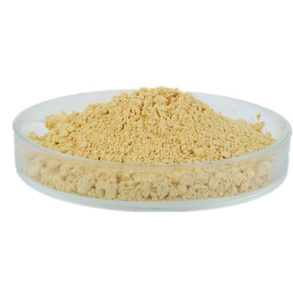 Direct manufacture Aloin Powder 20%~90%