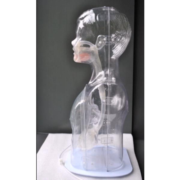 Transparent Children Nasal Feeding and Gastric Lavage Model Nursing Simulator ' Top Choice