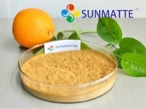 Poudre d'acides aminés végétaux 40%