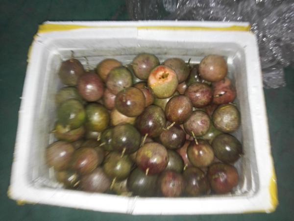 Passion Deseed Pulping Fruit Juice Machine SUS304 3T/H