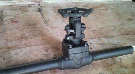 800LB LF2 A105N,OS / Y Bolted Bonnet Water Gate Valve Regular Port Sturdy Design/forged steel gate valve