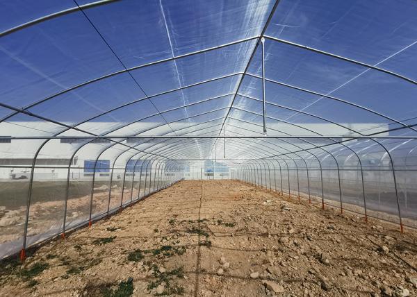 Économique Installation facile Polycarbonate Serre équipements poly-tunnel