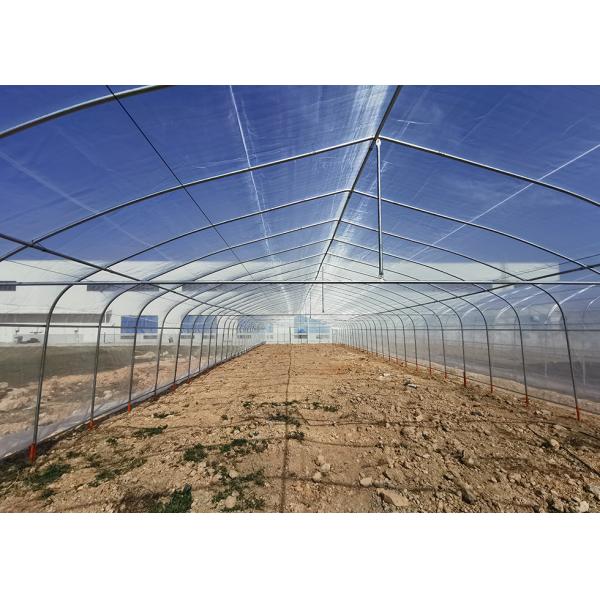 Vegetable Growing Single Span Greenhouse With Insect Screen Covering Material