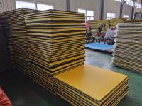 EVA Interlocking Gym Foam Mat 20mm 25mm para Taekwondo
