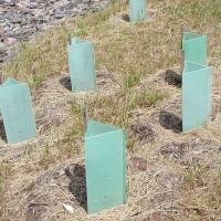 230gm-600gm Densidade Corrugada Proteção de Árvore de Plástico Reutilizável Ecológico