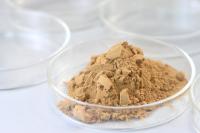 Enzymes de qualité alimentaire à haute température amylase utilisées dans la cuisson de la bière alcoolisée