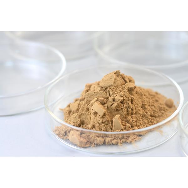 Мультиэнзимная глюкоамилаза пищевые добавки порошок / жидкость