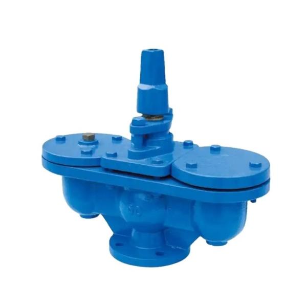 Customized Ductile Cast Iron Double Ball Auto Air Release Valve PN10 PN16 DN50-DN300