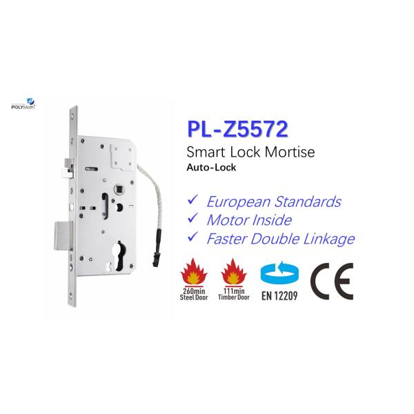 Level Security Electric Lock Polymath Z5572 with CE Certification and Waterproof Design