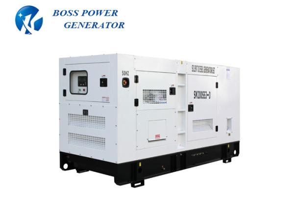 Single Phase Diesel Fuel Generator , Heavy Duty Diesel Generator OEM Service