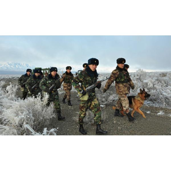 Войска патрулируют работу потребления блокатора 1000В сотового телефона Джаммерс бомбы обоза стабилизированную