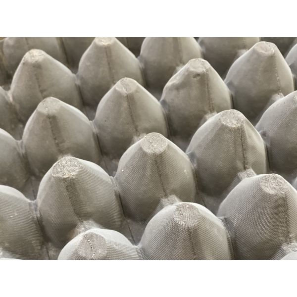 Fully Automatic Paper Egg Tray Making Machine | 3000–10000 pcs/h Egg Tray Production Line | SHM
