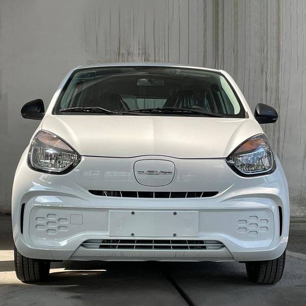 Front Suspension MacPhersan Type Independent Saic Roewe Clever Electric Mini Car for Adults 4 Seater Energy EV Vehicle