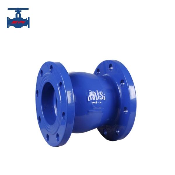 DRVZ Type Vertical Silent Check Valve 403 Forbidden with openresty for Water Pipeline