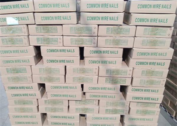 Anti - Corrosion Metal Wire Nails Q195 Steel Common Iron Nail Used For Furniture