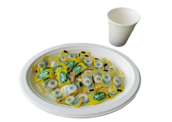 10 Inch 17g Eco Friendly Sugarcane Paper Plates