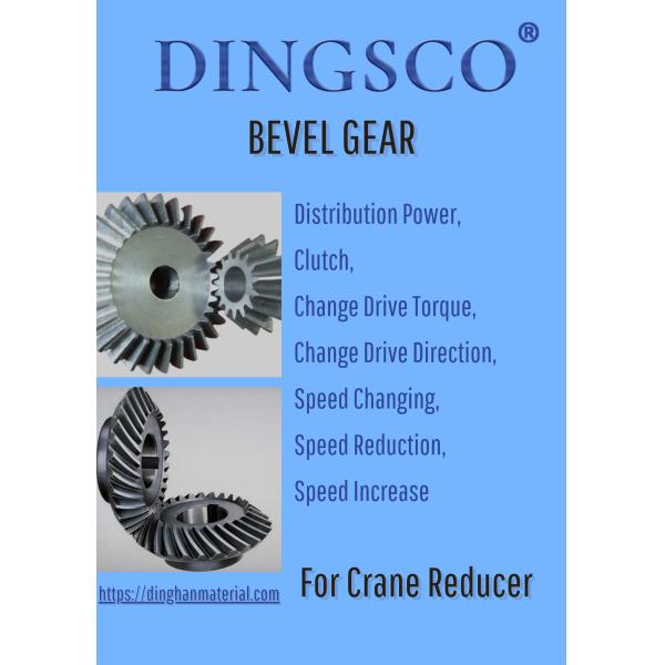 Coronas de engranaje de biselada sesgada Piniones de rueda para grúa torre Reducción de velocidad
