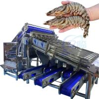 Equipamento de frutos do mar Máquina de descascar camarão Máquina de processamento de casca de camarão Roller de aço inoxidável Máquina de classificação rápida de camarão