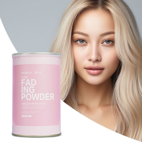 Poudre Décolorante pour Cheveux Herbal Salon 500g Sans Irritation