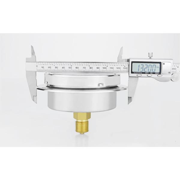 100mm Diaphragm Type 304ss Stainless Steel Back Capsule Pressure Gauge with Flange