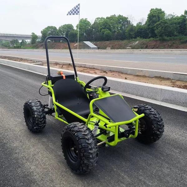 Amusement Park Rental Golf Buggy Cart with 1000W Brushless Motor and EEC Certification
