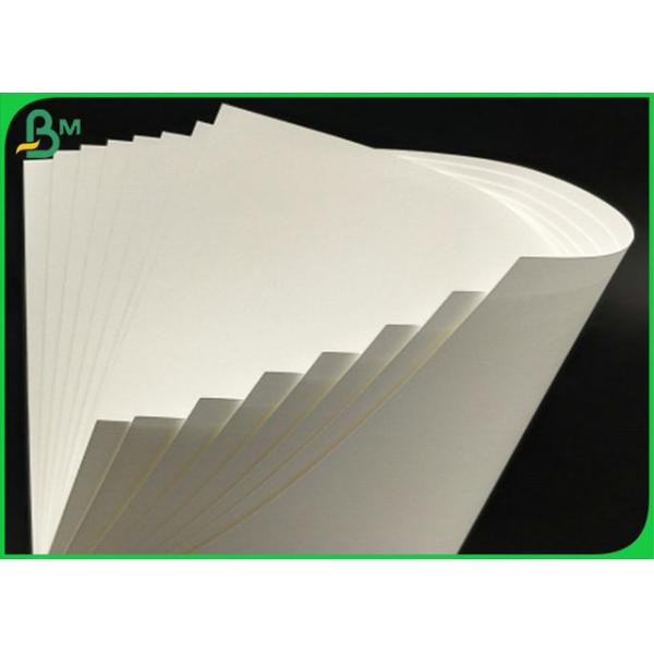 230GSM To 400GSM Full Solid White Coated FBB With Good Stiffiness