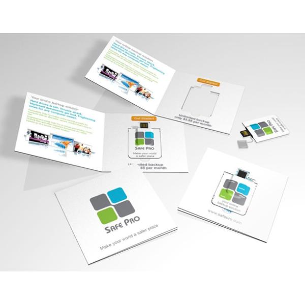 1MB USB de papel Webkey com tamanho CMYK da relação A4 A5 do URL deslocou a impressão