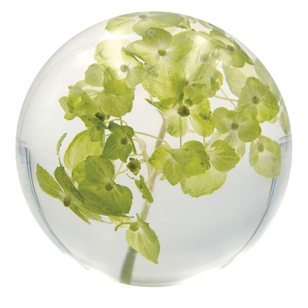 Пресс-папье цветка природы ясное, шарик пресс-папье смолы флористический