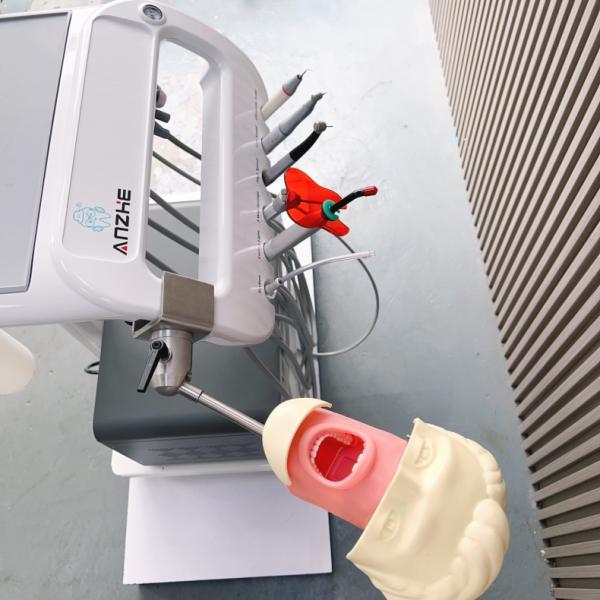 Стоматологическая модель обучения Симулятор Система обучения головы Стоматологическая школа Стоматологическая симуляция голова фантом