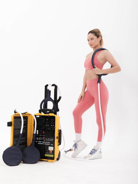 Pulsed Magnetic Therapy Machine with 2HZ Pulse Frequency and Mat GOMECY Non Contact PEMF Therapy Machine