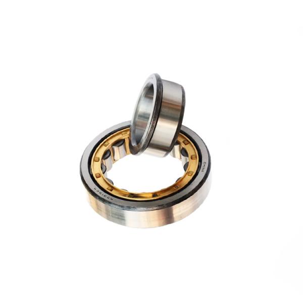 NU203 ECP Cylindrical Bearing Rollers Premium Quality 17x40x12mm Nj 203 Bearing