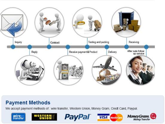 Одобренный CE 094050-0060 Топливный насос высокого давления