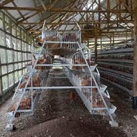 El tipo color plata pollo de A de la capa de la batería enjaula la buena ventilación