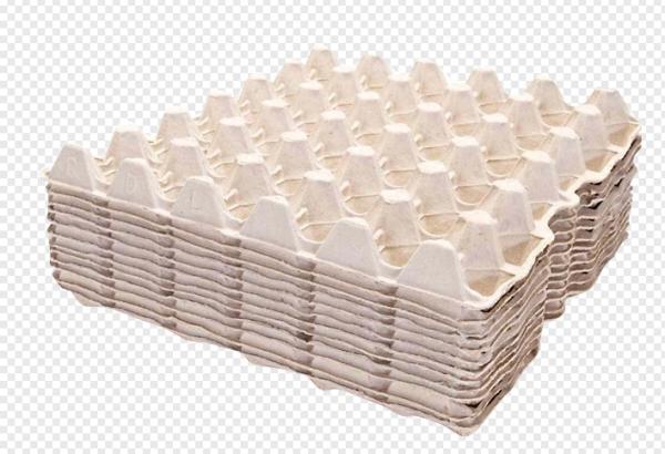 Automated Waste Paper Egg Tray / Egg Box Vacuum Forming Machine With Single Layer Dryer