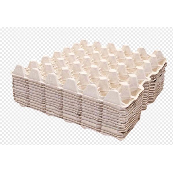 High Efficiency Recycled Paper Egg Tray Machine / Egg Carton Making Machine with 6000 Pcs/H