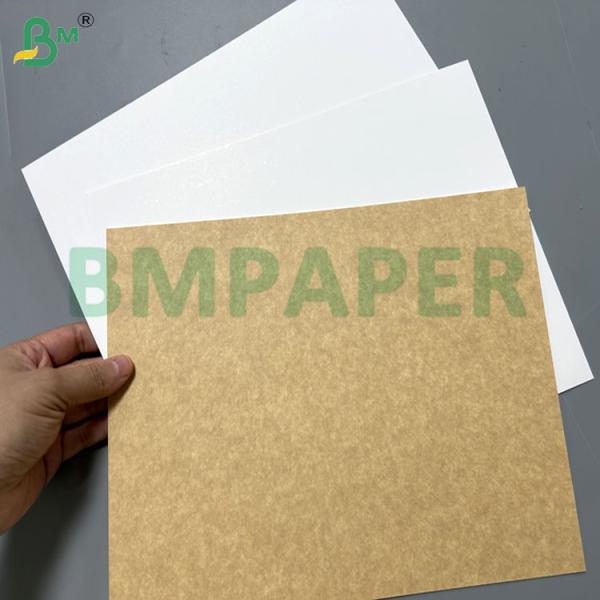 250gsm 300gsm  Food Compliance Coated Kraft Board For Food Containers 71cm