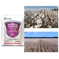 OEM HaNPV Soja Pesticidas Spray Líquido Cebola Maggot Insecticida de alta eficiência