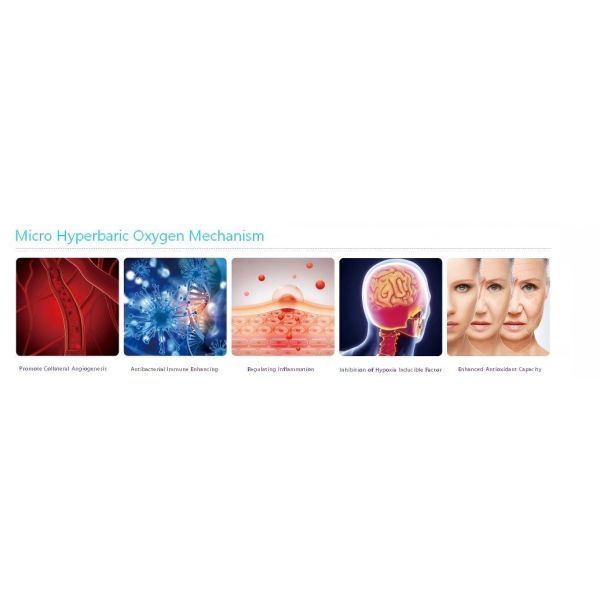 1.0-1.5 ATA Working Pressure Carbon Steel Structure 4-person Luxury Micro-hyperbaric Oxygen Chamber