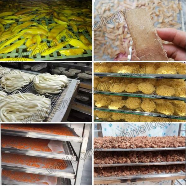 Сушильщик теплового насоса фрукта и овоща/мяса/морепродуктов с высокой эффективностью (промышленный обезвоживатель еды)